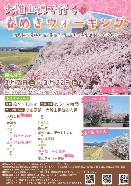 大雄山線で行く春めきウォーキング【南足柄市】